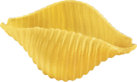 CONCHIGLIE RIGATE N.42 16x0,500